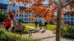 students walking on campus, tree in foreground with orange leaves